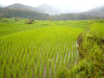 laos - moto